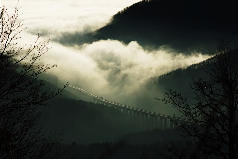 Fog 